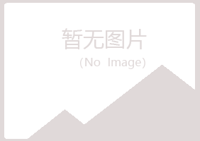 合山惜雪能源有限公司